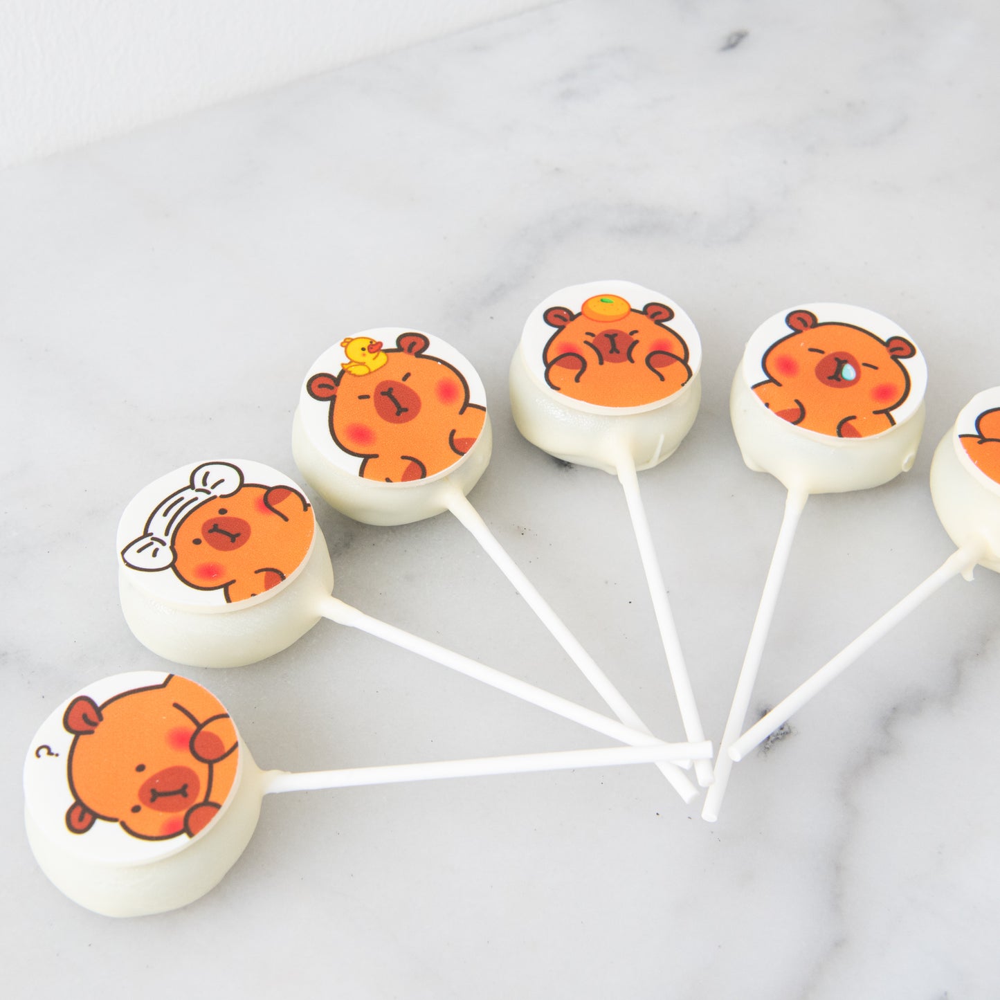 11111SALES S$11.11 Only | Capybara 2pcs Assorted Cake Pops In Gift Box