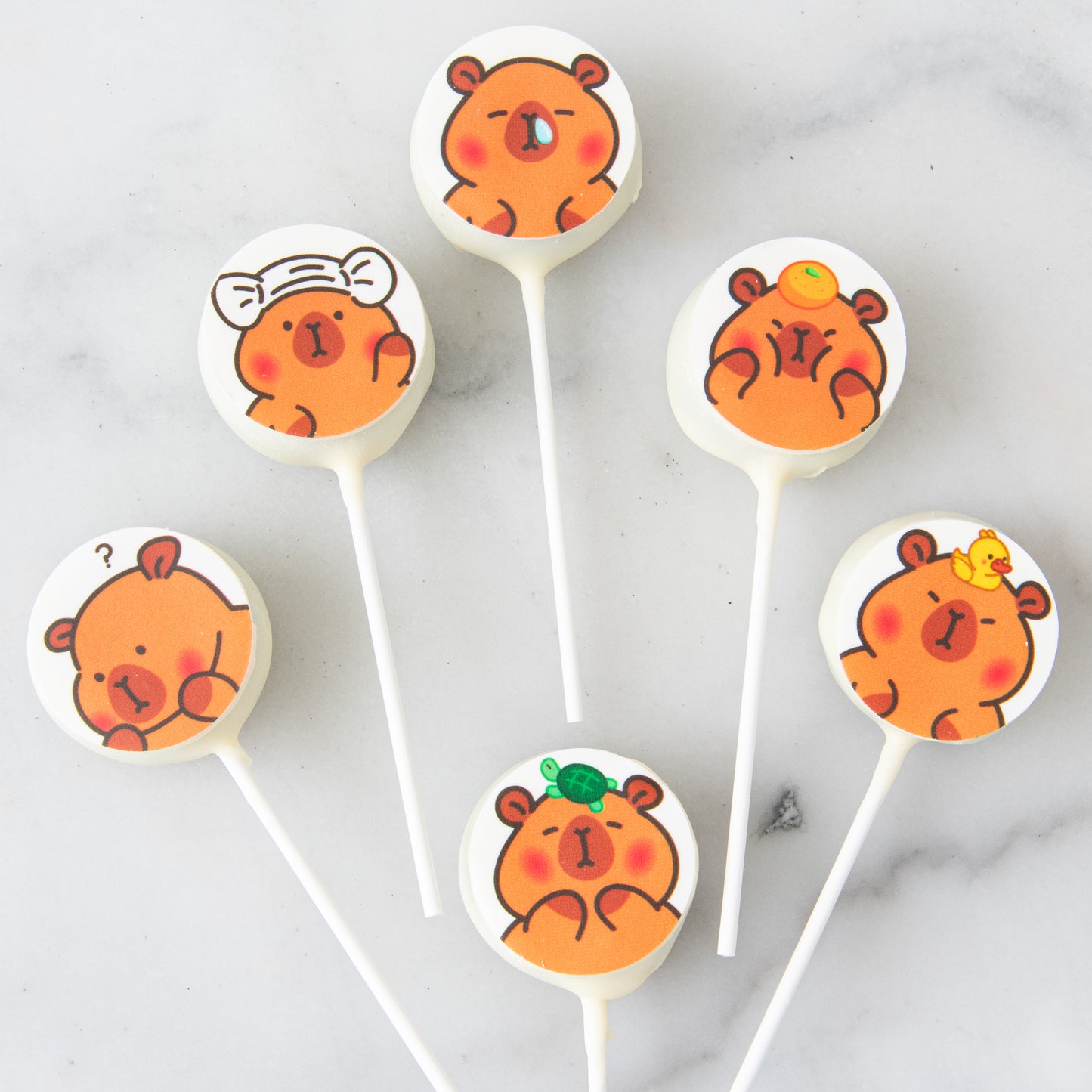 11111SALES S$11.11 Only | Capybara 2pcs Assorted Cake Pops In Gift Box