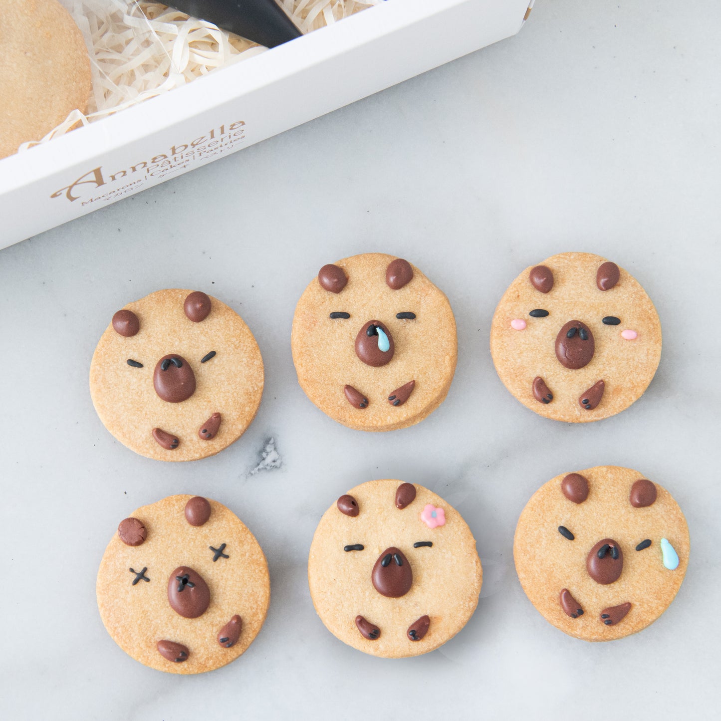 Capybara DIY Cookies In Gift Box | $19.90 Nett Only