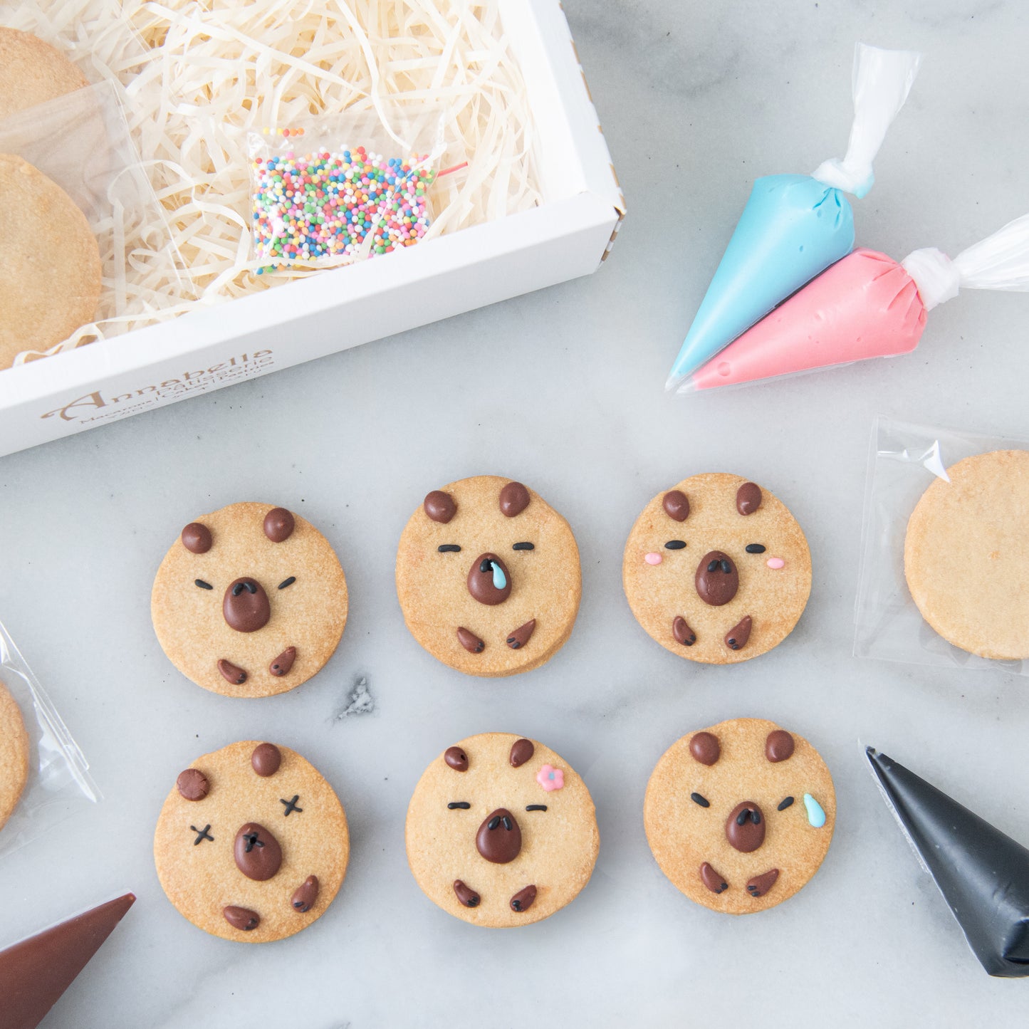 Capybara DIY Cookies In Gift Box | $19.90 Nett Only