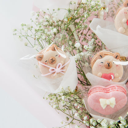 Happy Valentine's Day! | Be My Capybara Macaron Bouquet | $148 Nett