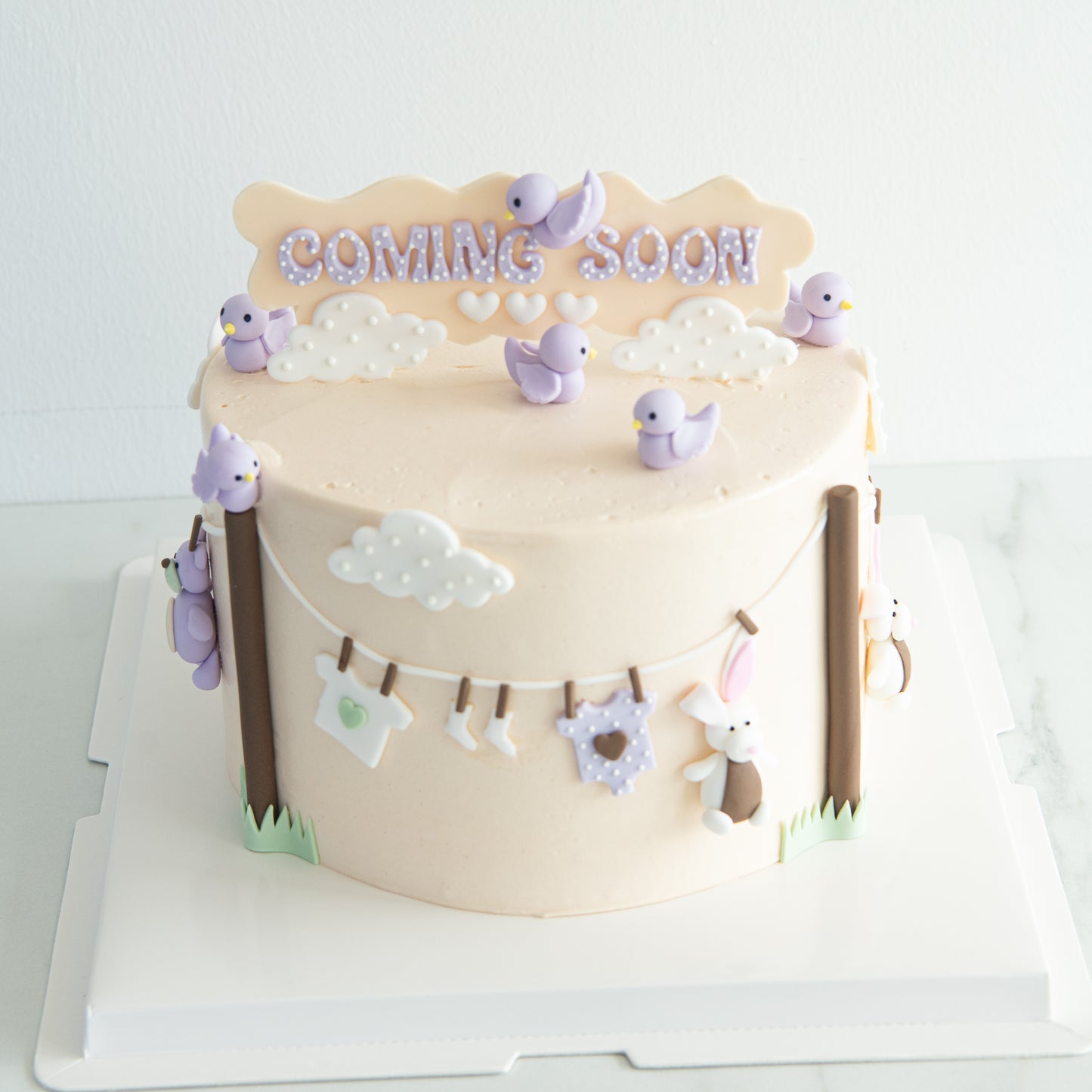 Customized Cake - Cute Little Birdy Cake