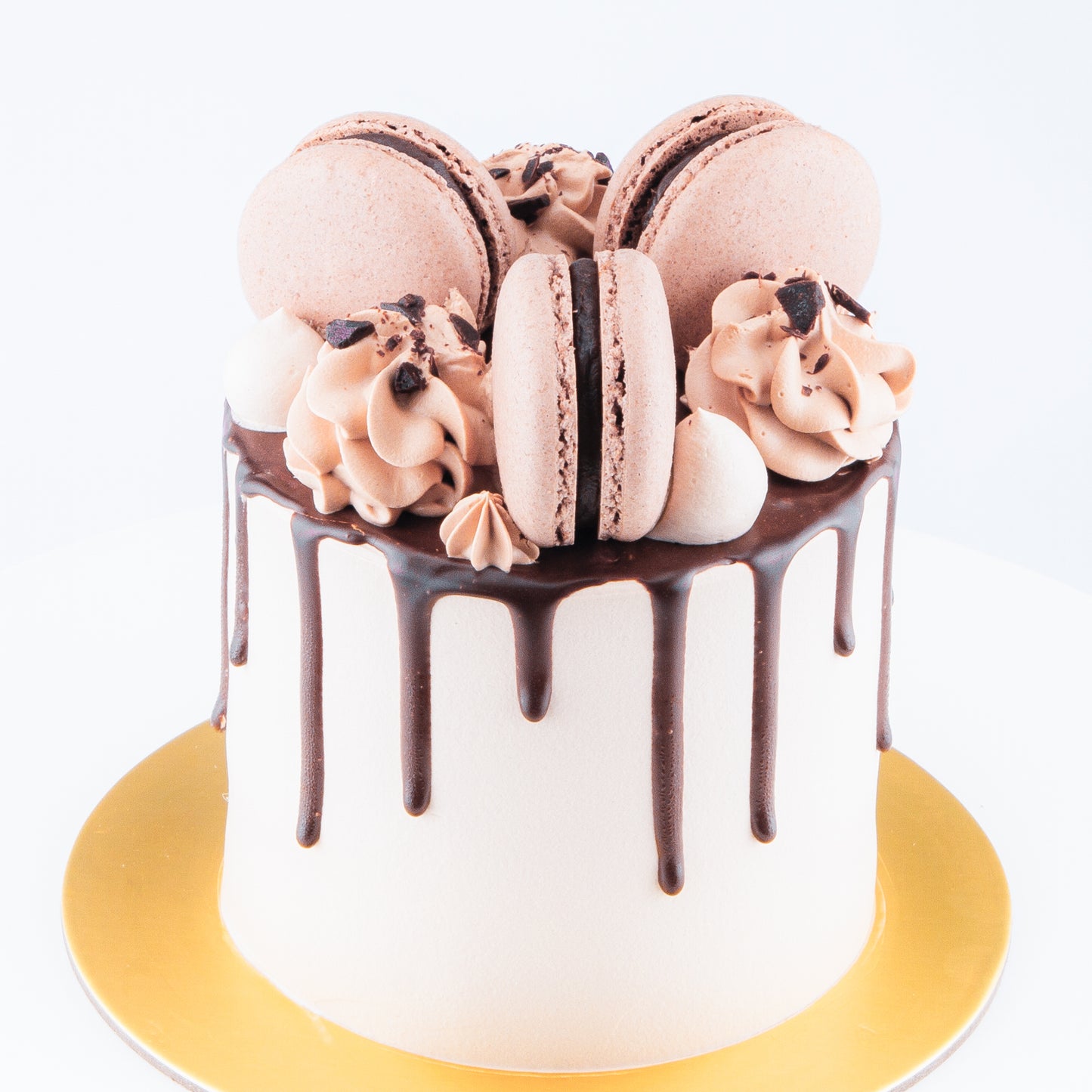 Sales! Chocolate Truffle Cake Petite   | Including 3 pcs Macarons | $35.80 nett only