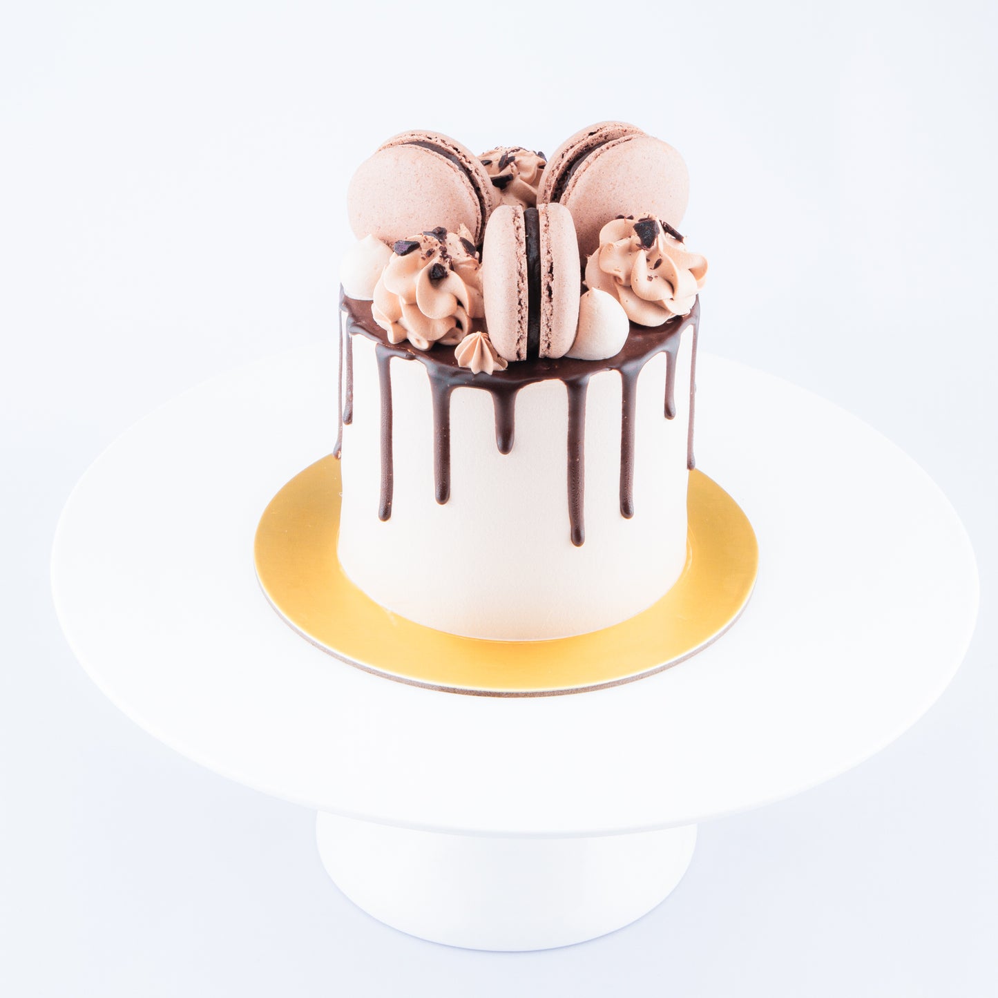 Sales! Chocolate Truffle Cake Petite   | Including 3 pcs Macarons | $35.80 nett only