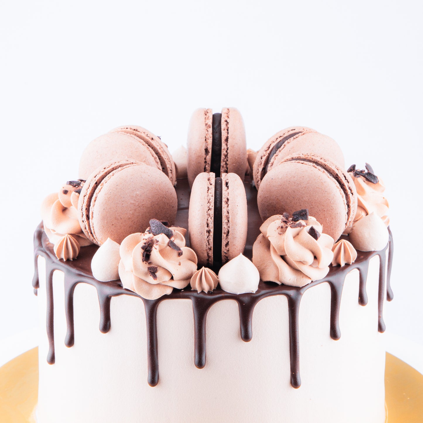 Sales! Chocolate Truffle Cake Upsize (Including  6 pcs macarons)| $65.80 nett only
