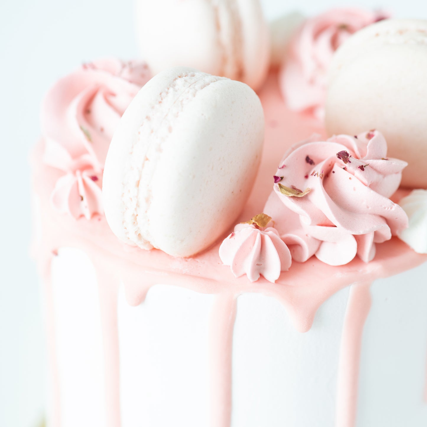 Sales! Lychee Rose Cake Petite   | Including 3 pcs Macarons | $35.80 nett only